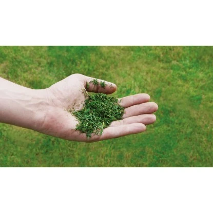 Einhell Benzin-Rasenmäher GC-PM 56/2 S HW Einhell Benzin-Rasenmäher GC-PM 56/2 S HW -Gartengerätegeschäft 978003 2171 08