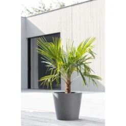 Ecopots Pflanztopf Amsterdam Grau 40 Cm X 35 Cm -Gartengerätegeschäft dam40WaterReservoirGrey 91