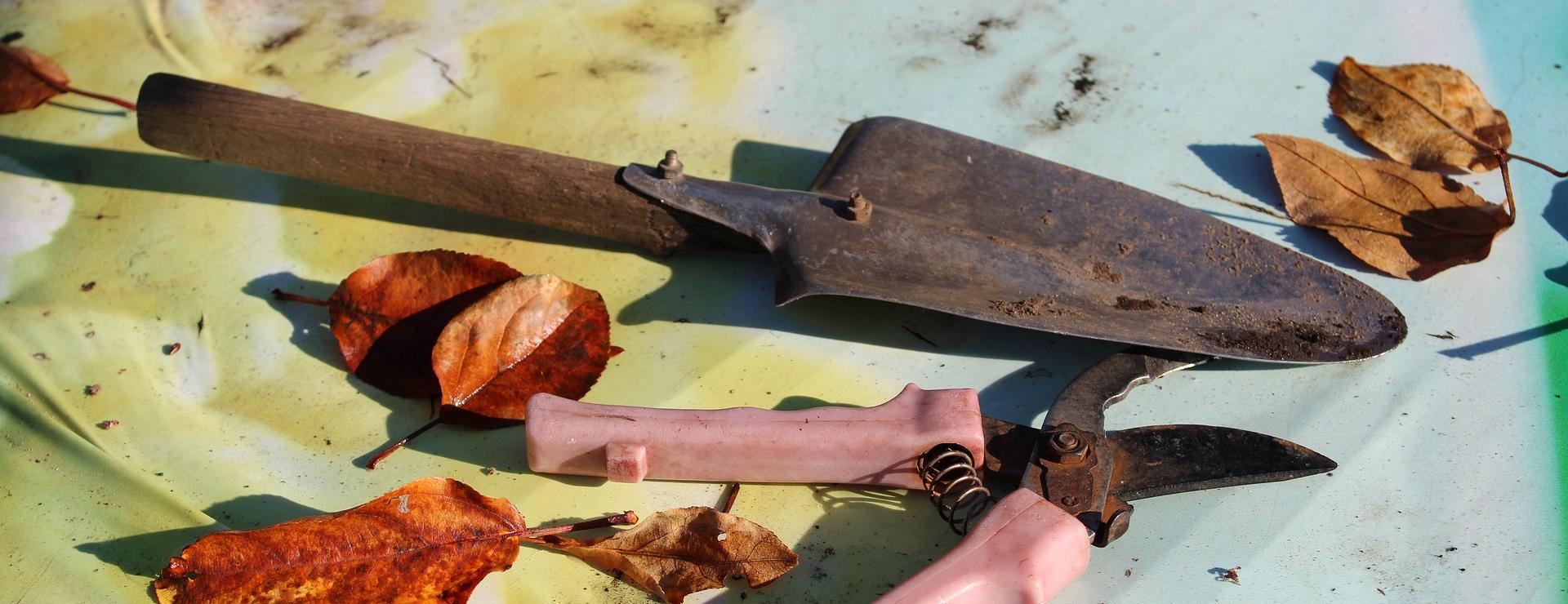 Gartengerätegeschäft -Gartengerätegeschäft garden tools 7120961 1920