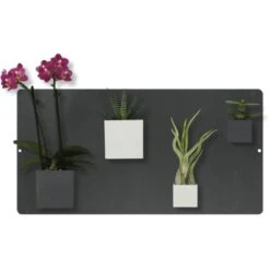 KalaMitica Kunststoffgefäß Mit Magnet Kasten 14 Cm X 7 Cm Glyzine -Gartengerätegeschäft itica anwendungsbeispiel 7 2